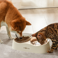 Load image into Gallery viewer, WAVE Elevated Pet Food & Water Bowl Duo
