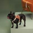 Load image into Gallery viewer, SADDLE Pet Harness and Leash Set
