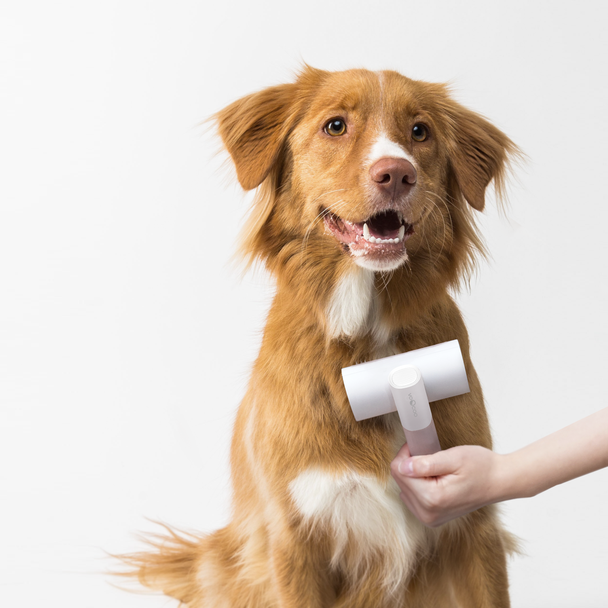 2-IN-1 Pet Brush Kit