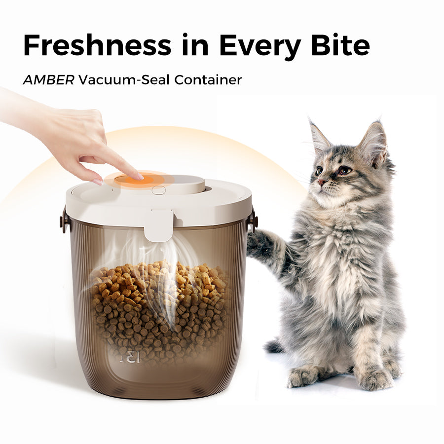 AMBER Vacuum-Seal Storage Bin