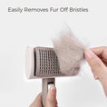 Load image into Gallery viewer, 2-IN-1 Pet Brush Kit
