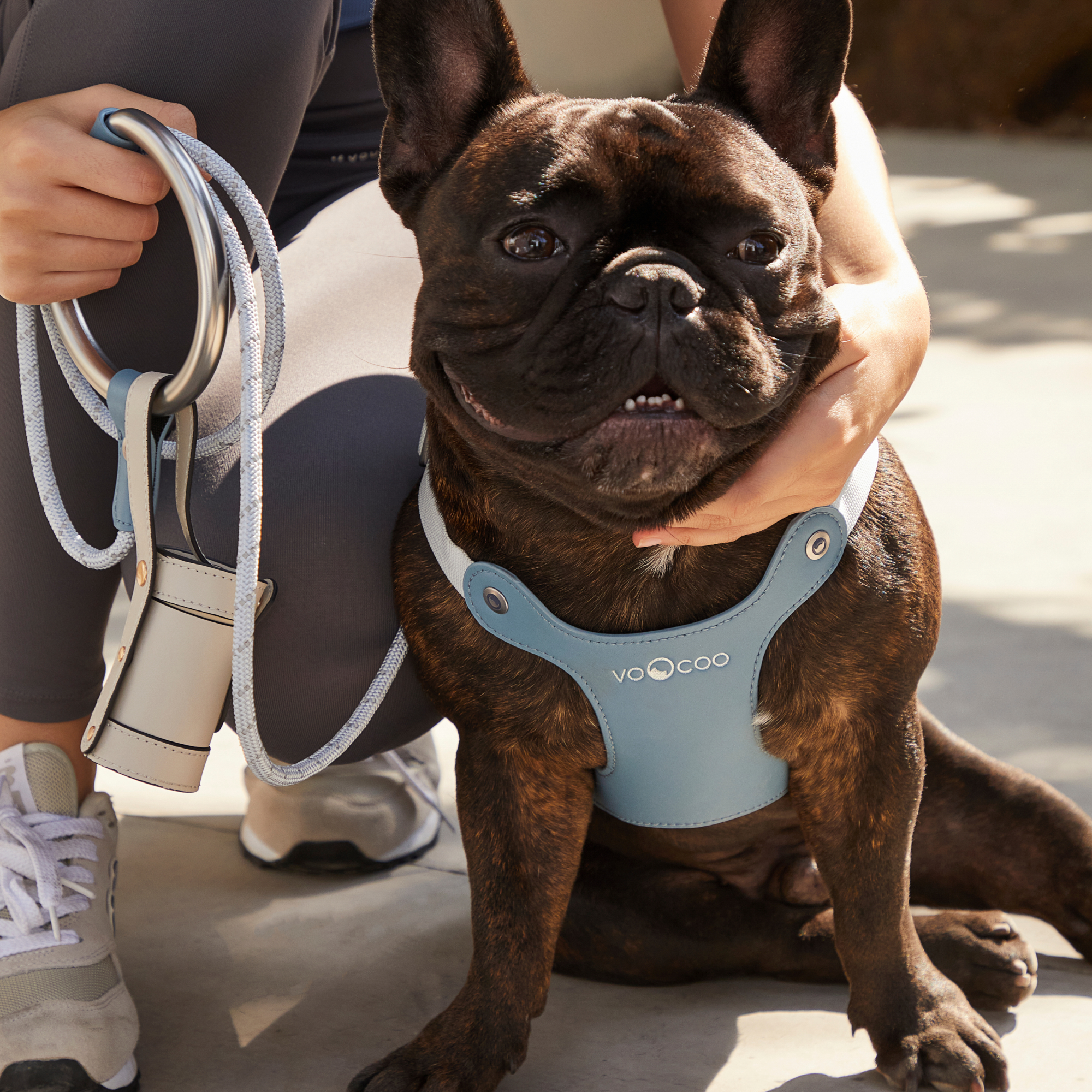 #OOTD Pet Harness and Leash Set