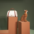 Load image into Gallery viewer, FYNN Pet Travel Bag - Hand Carry Style
