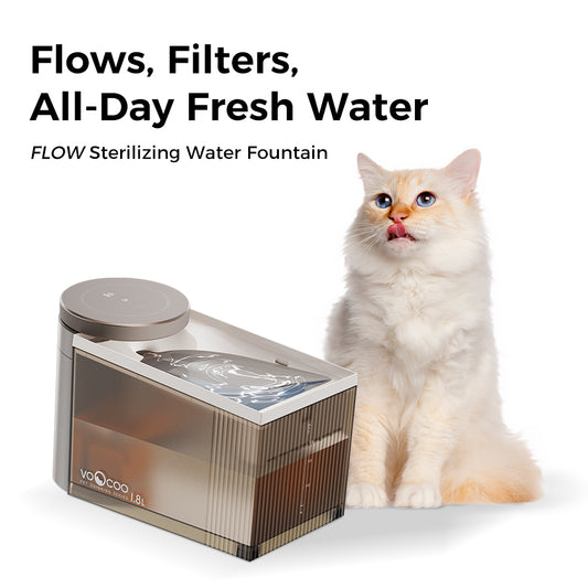 FLOW Automatic Sterilizing Pet Water Fountain