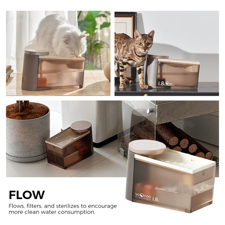 FLOW Automatic Sterilizing Pet Water Fountain