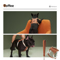 Load image into Gallery viewer, SADDLE Pet Harness and Leash Set
