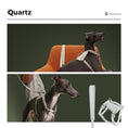 Load image into Gallery viewer, SADDLE Pet Harness and Leash Set
