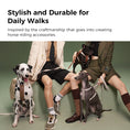 Load image into Gallery viewer, SADDLE Pet Harness and Leash Set
